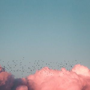 Meet your Posher, Ariel